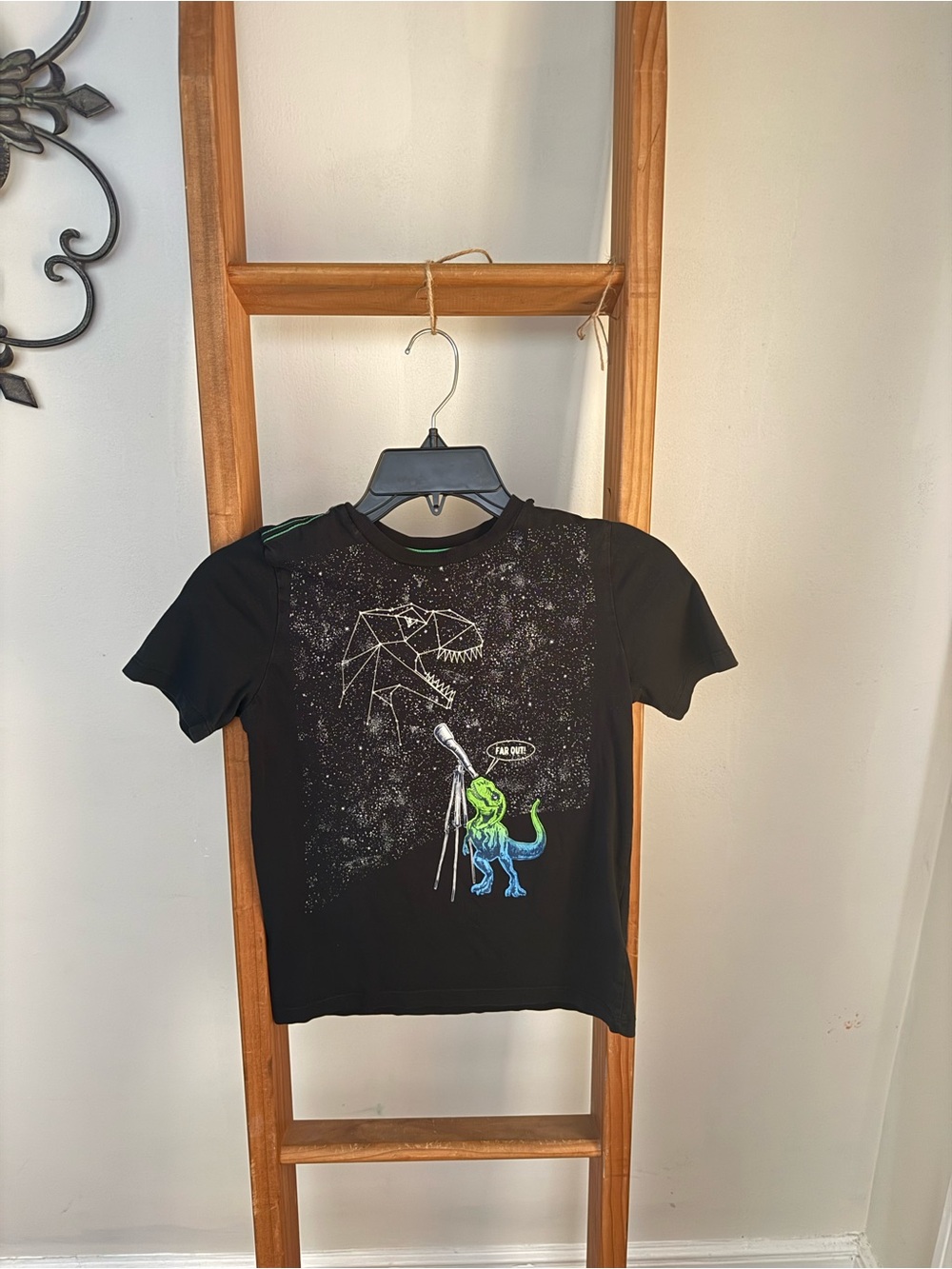 Spotted Zebra Black Kids Graphic Dino T-Shirt